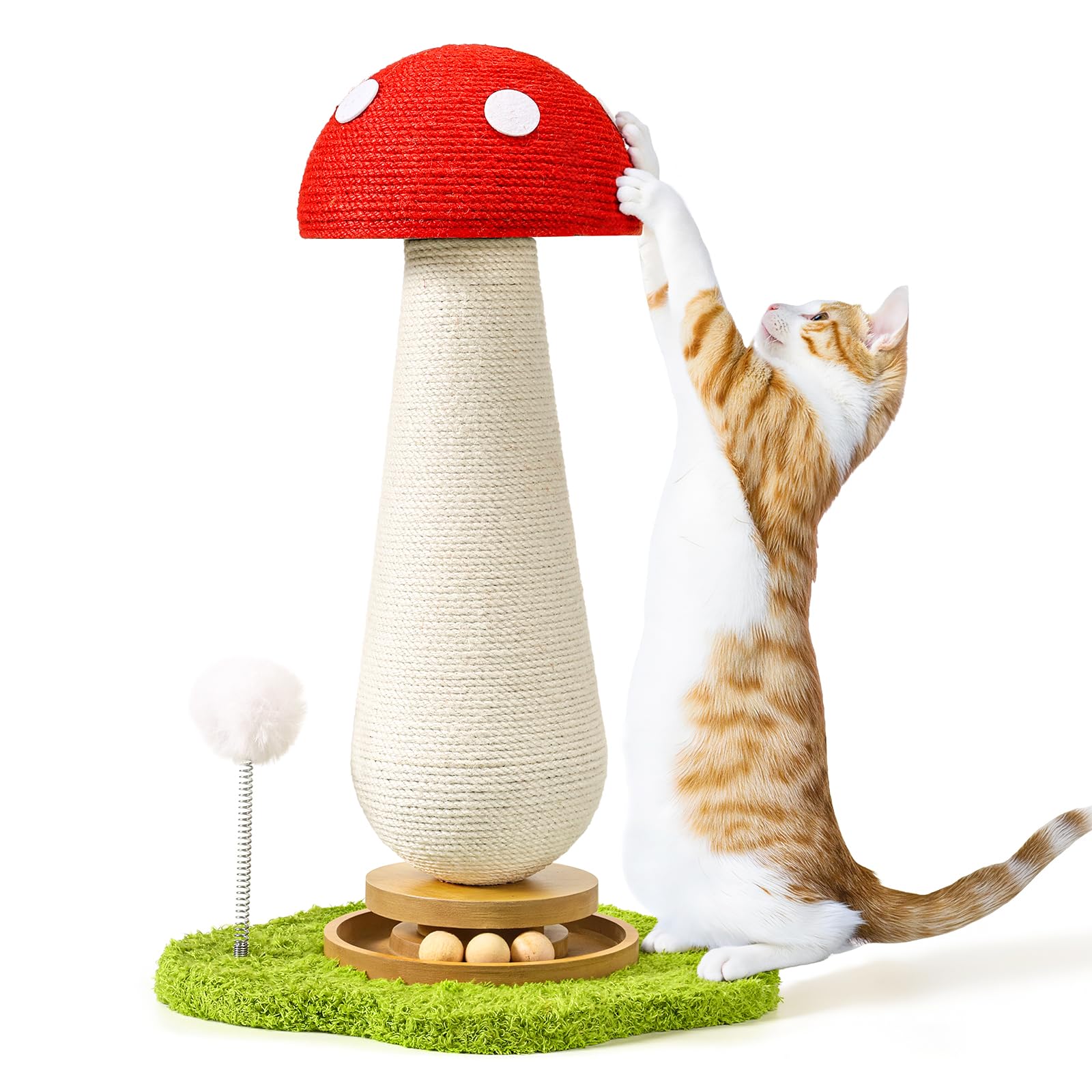 TEWIWAP griffoir champignon face montrant stabilité et design