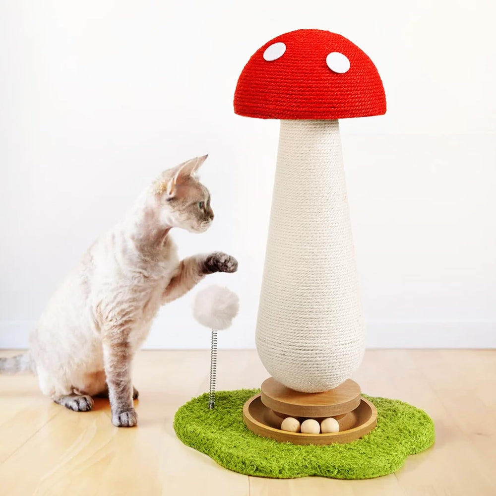TEWIWAP dans salon avec chat illustrant intégration déco