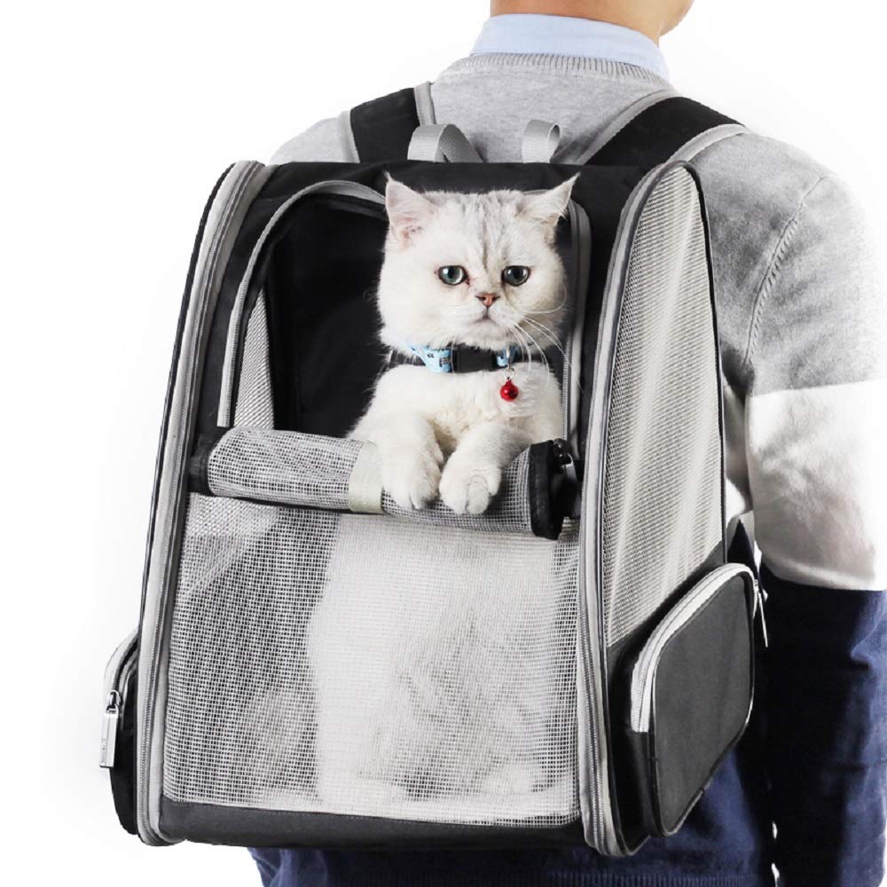 Texsens chat à l'intérieur du sac à dos bulle offrant sécurité et vision extérieure
