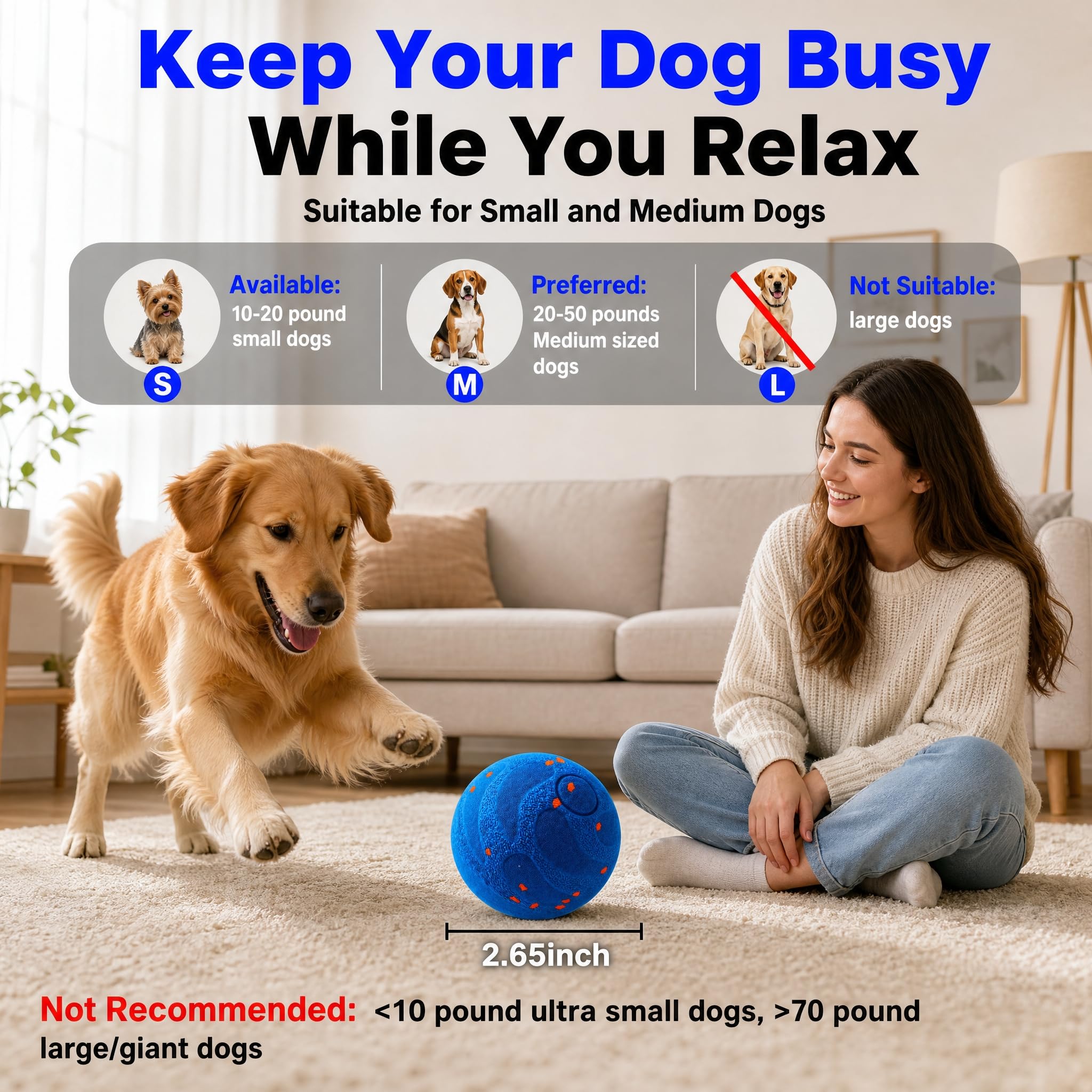 TEYYVN balle en action avec chien stimulant activité et chasse