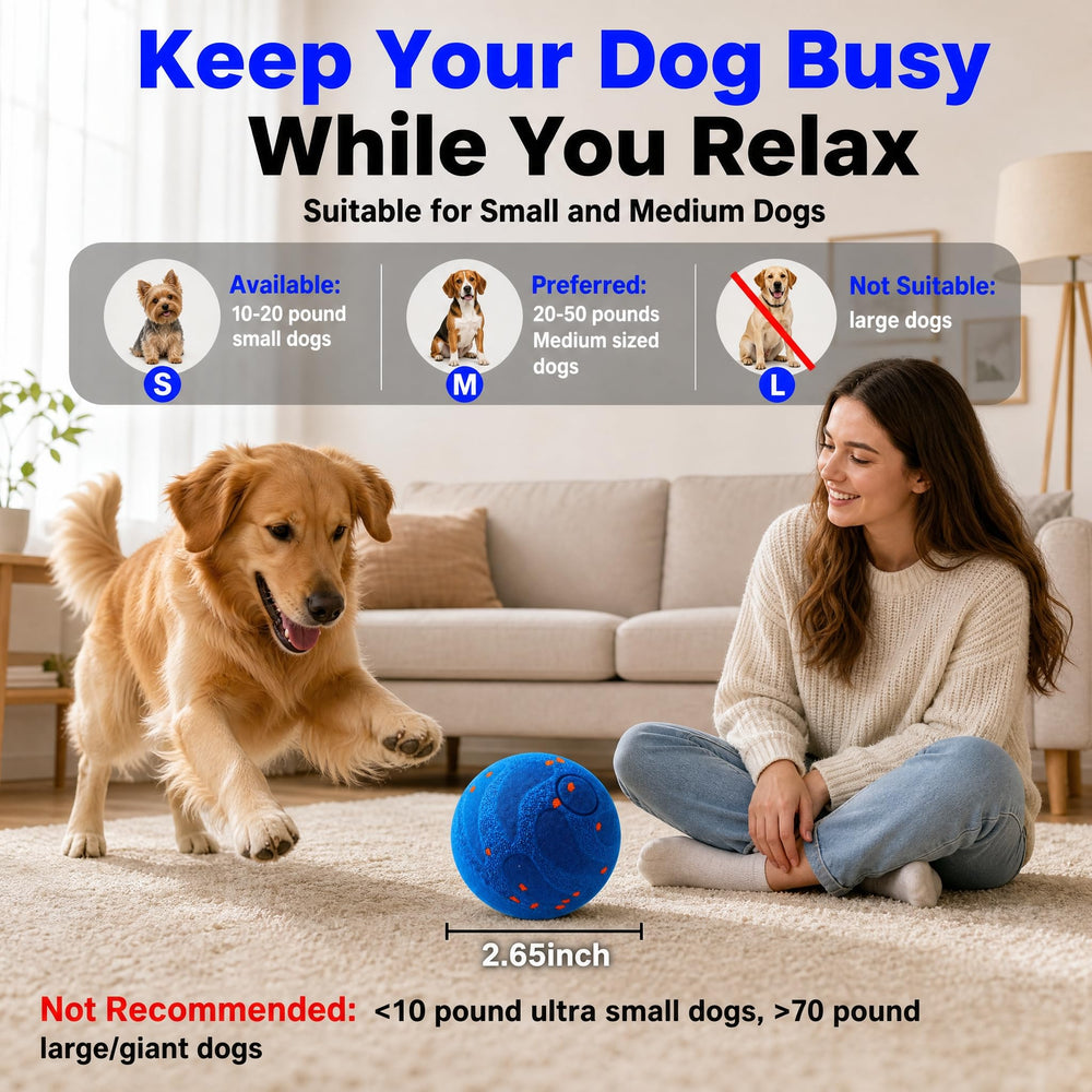 TEYYVN balle en action avec chien stimulant activité et chasse