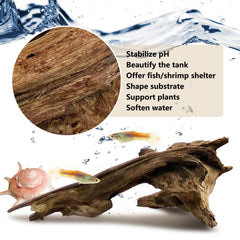 Tfwadmx bois en aquarium avec mousse créant cachettes pour crevettes