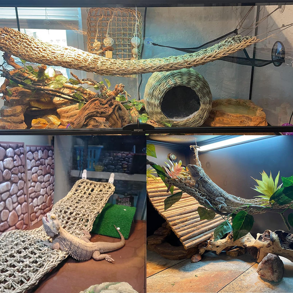 Tfwadmx décoration fougère intégrée apportant ambiance jungle réaliste
