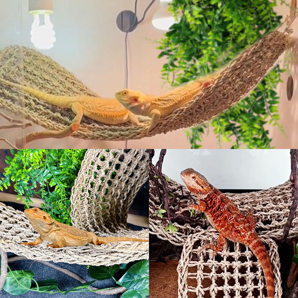 Tfwadmx liane flexible en gros plan pour escalade et jeux d'habitat