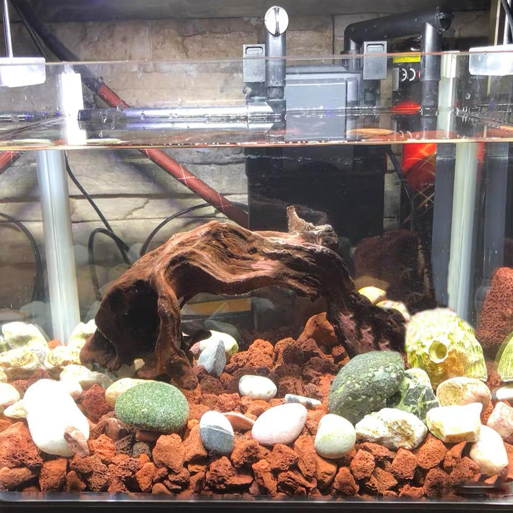 Tfwadmx pierres rouges en place dans aquarium améliorant esthétisme