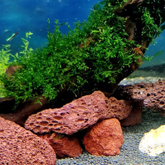 Tfwadmx pierres en usage dans aquarium offrant caches et esthétique naturelle