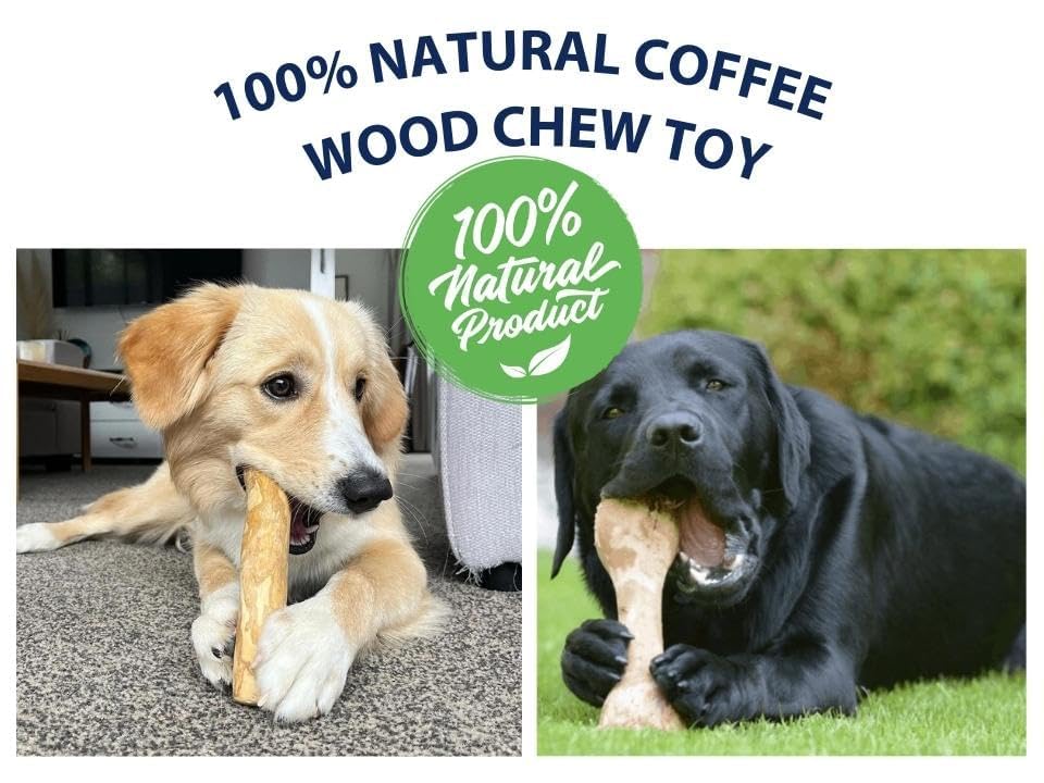 THATUWOOD bâton en décor extérieur, alternative propre aux branches ramassées