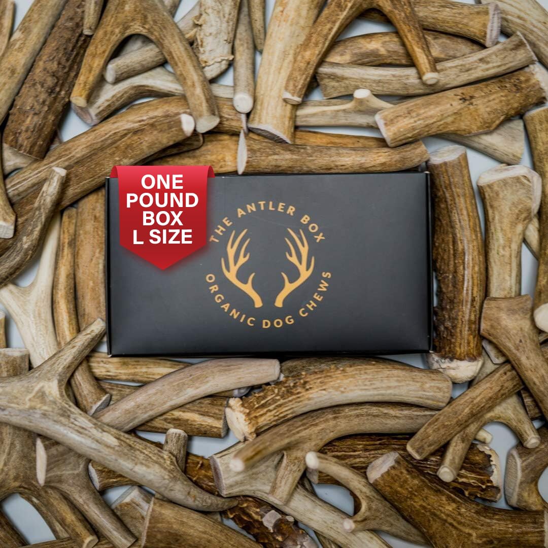 The Antler Box emballage avant montrant 1 lb et bénéfice durabilité