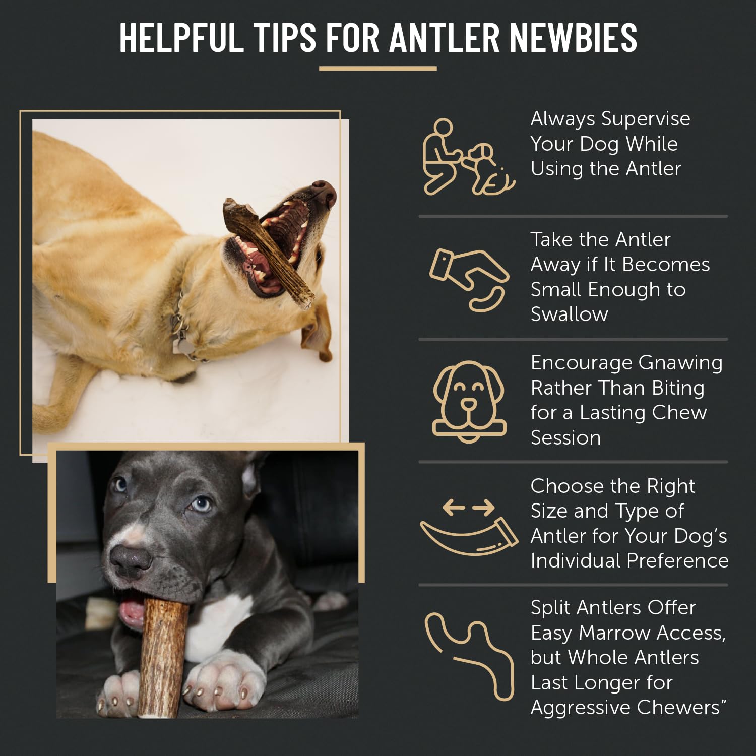 THE ANTLER BOX emballage et étiquette lisible, informations produit naturelles et sans additifs