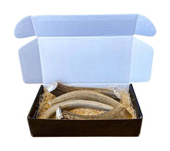 The Antler Box gros plan sur texture solide et bénéfice résistance