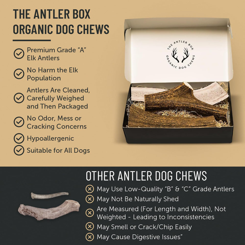 THE ANTLER BOX gros plan du pourtour et de la surface montrant solidité et finition propre