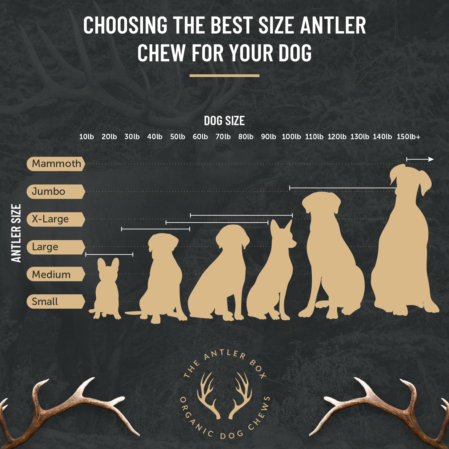 THE ANTLER BOX pièce fendue présentant l'intérieur accessible, stimule l'intérêt du chien