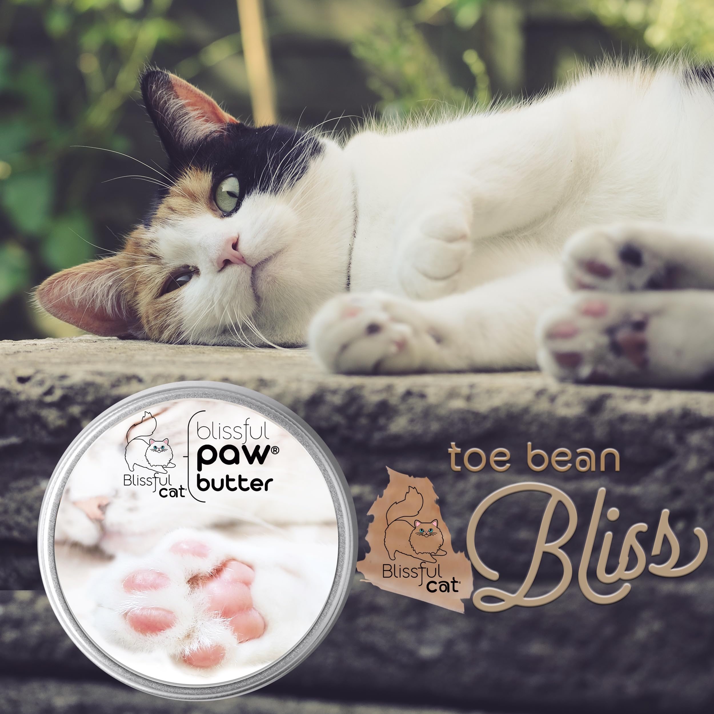 The Blissful Cat Paw Butter avant et après coussinets visibles plus lisses et sains