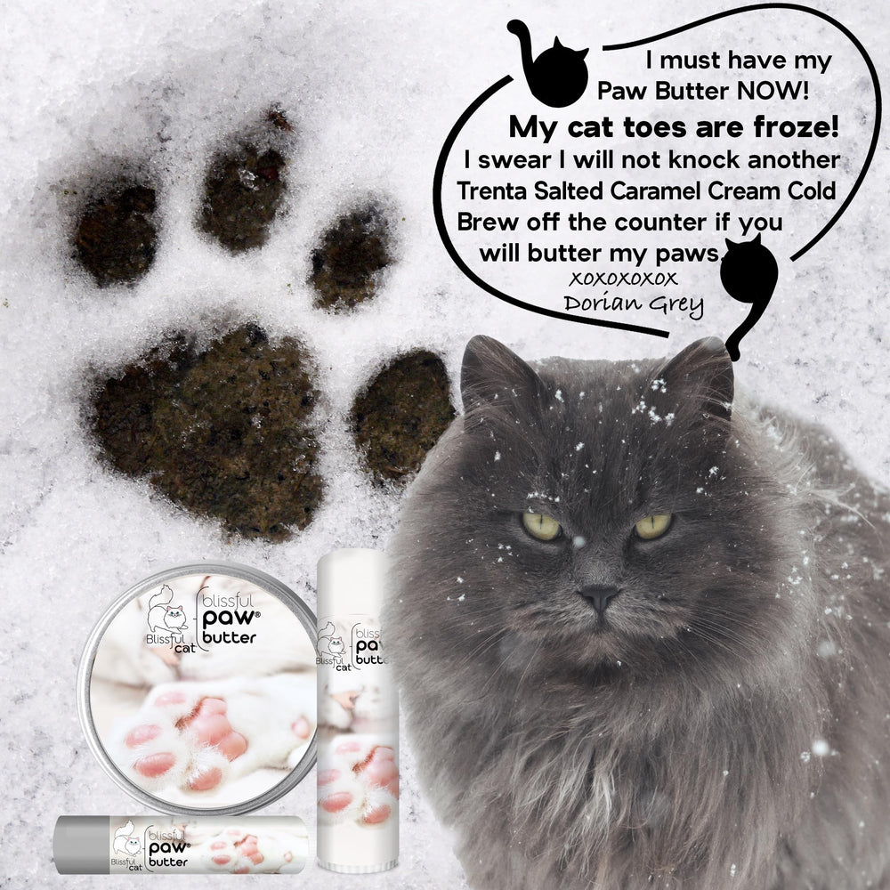 The Blissful Cat Paw Butter posé avec ingrédients naturels témoignant de la pureté