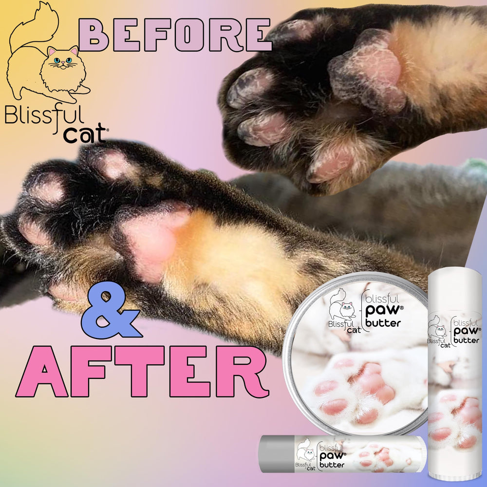 The Blissful Cat Paw Butter en situation lifestyle chat détendu après soin nourrissant