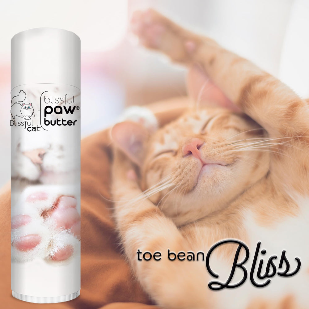 The Blissful Dog gros plan sur la texture crémeuse, hydratation riche