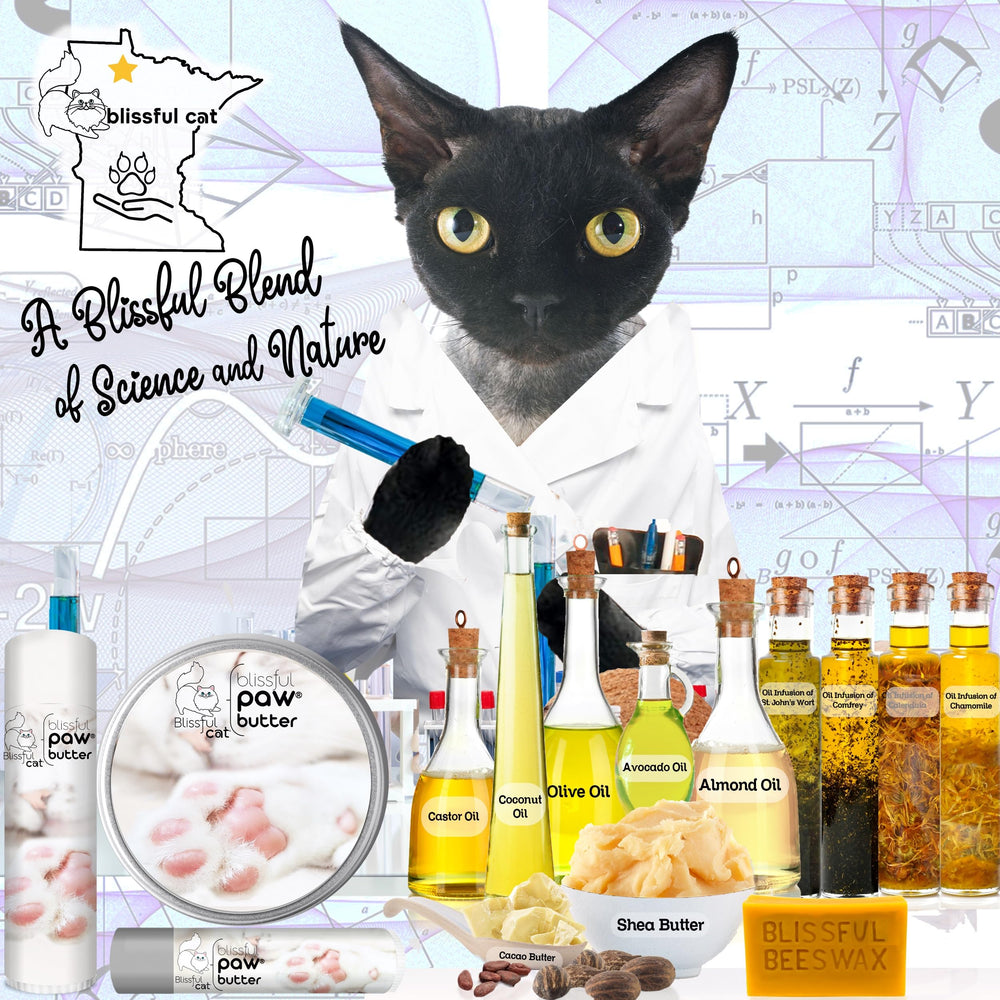 The Blissful Cat Paw Butter 2 oz à l’échelle montre la taille pratique pour la maison