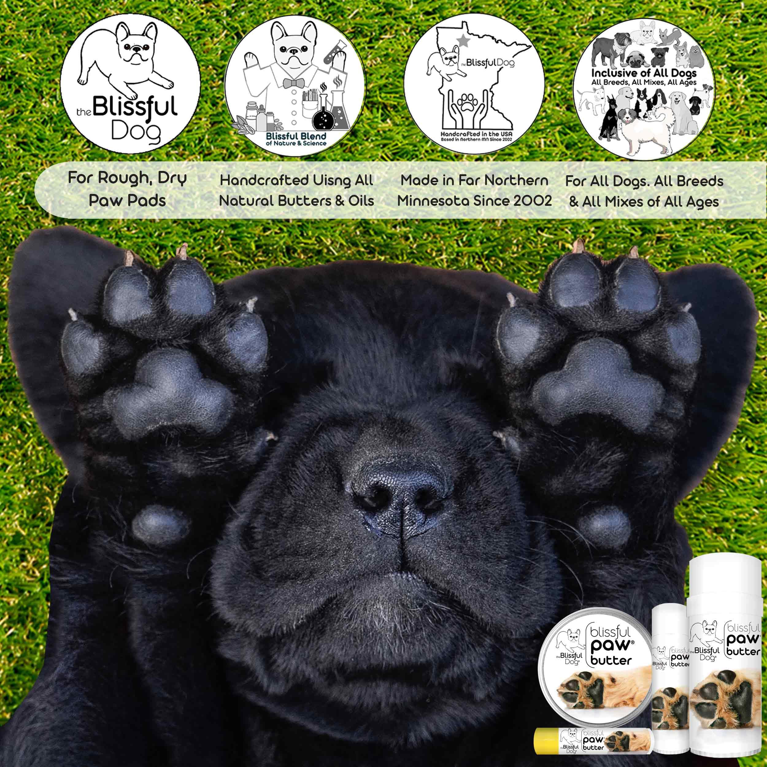The Blissful Dog application sur patte montrant confort et assouplissement