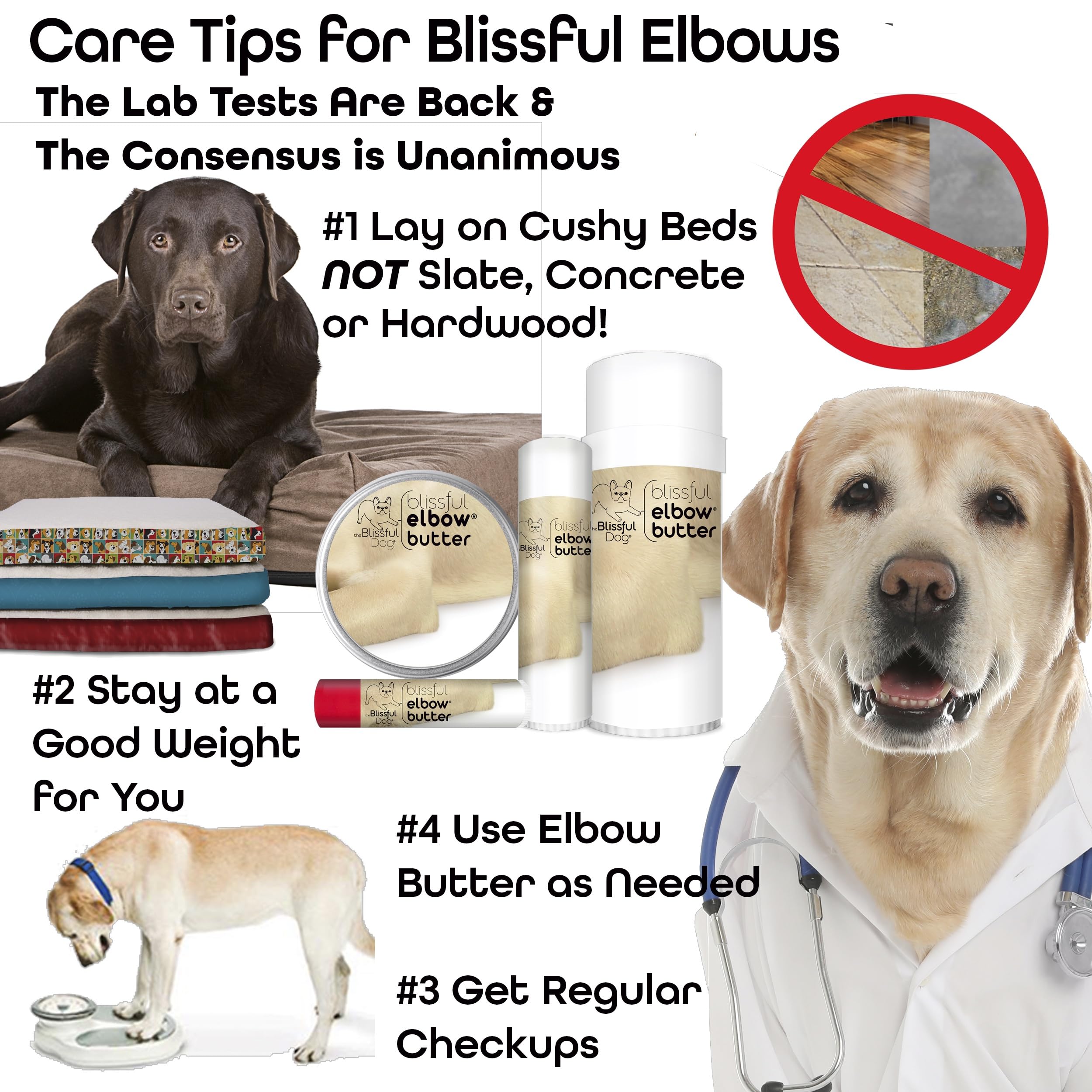 The Blissful Dog chiot recevant du baume pour confort et protection