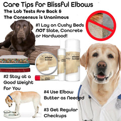 The Blissful Dog chiot recevant du baume pour confort et protection