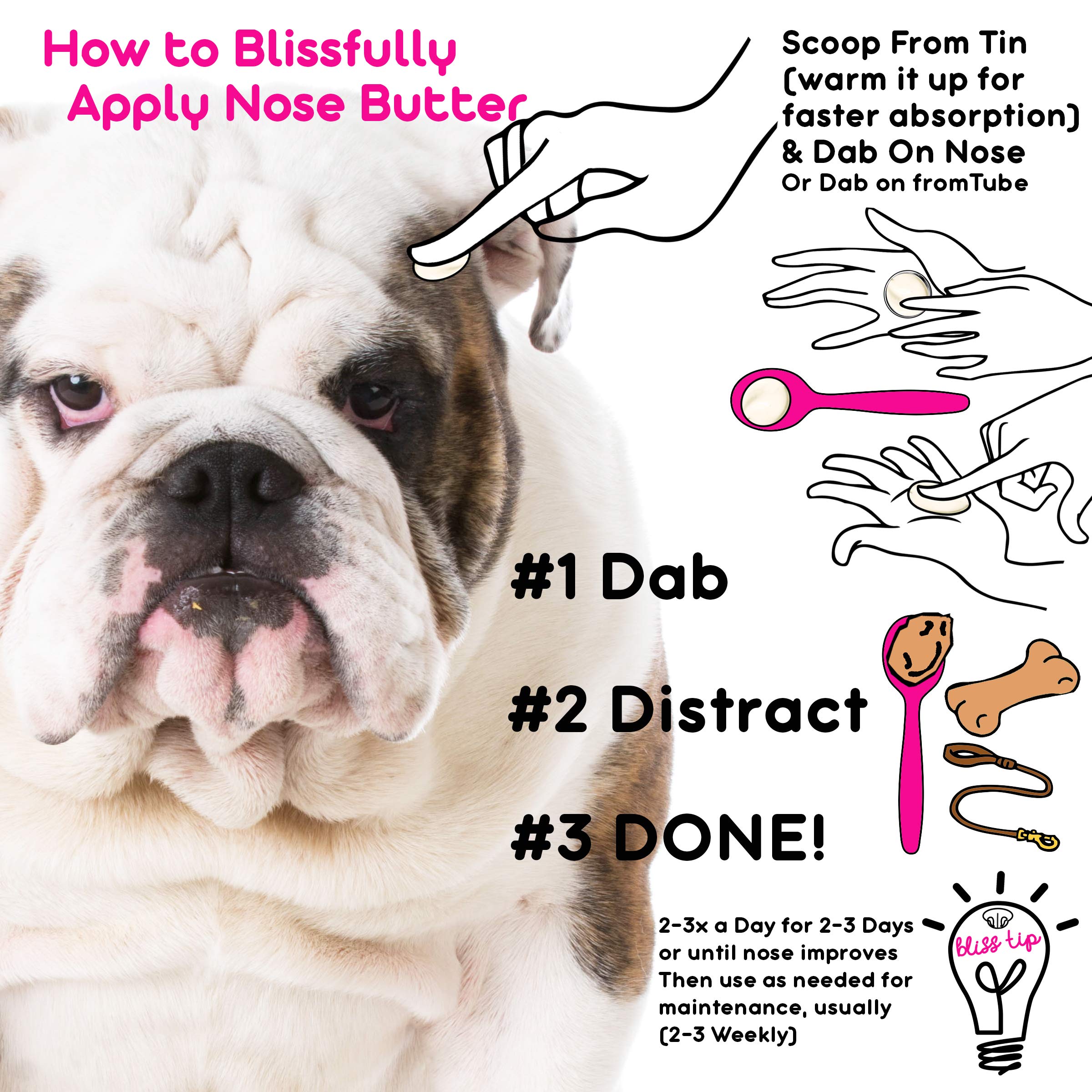 The Blissful Dog application douce sur le nez d'un chien pour apaiser