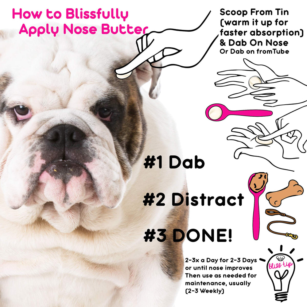 The Blissful Dog application douce sur le nez d'un chien pour apaiser