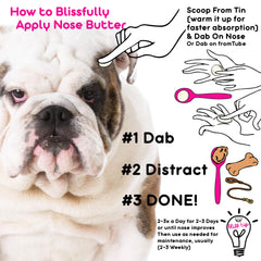 The Blissful Dog application douce sur le nez d'un chien pour apaiser