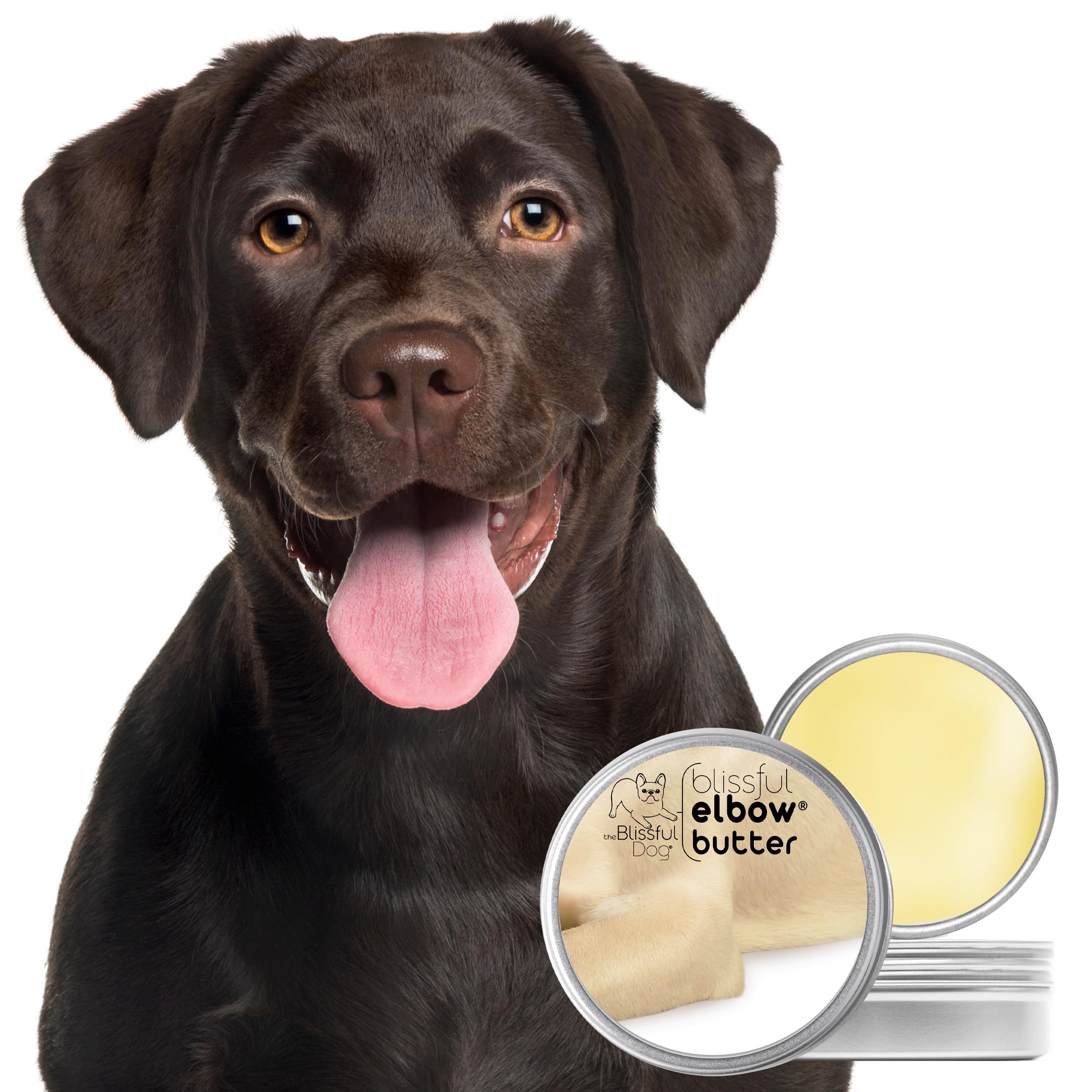 The Blissful Dog texture gros plan révélant beurre onctueux et hydratation