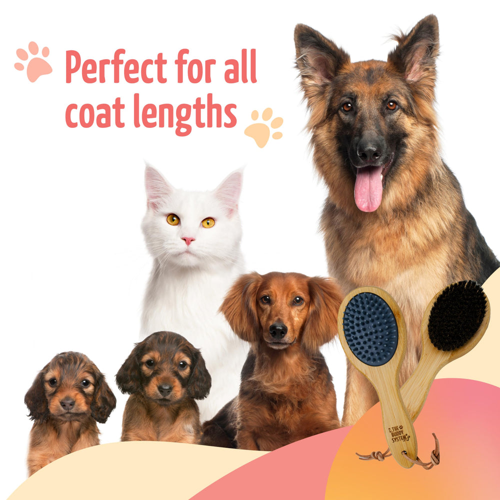 The Buddy System en usage avec chien favorisant apaisement et toilettage