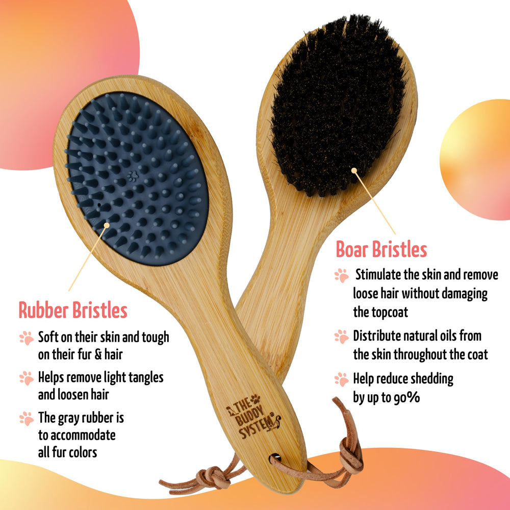 The Buddy System face poils de sanglier apportant brillance et lissage