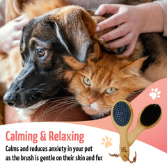 The Buddy System gros plan bambou montrant solidité et prise confortable
