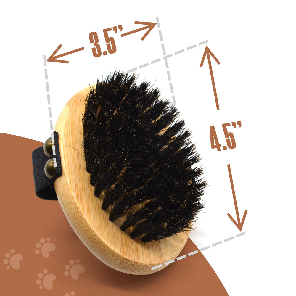 The Buddy System brosse tenue en main montrant simplicité d'utilisation et confort