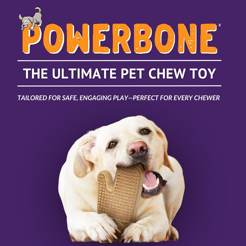 Chiot heureux mâchant The Chew Club Powerbone stimule dentition sécurisée