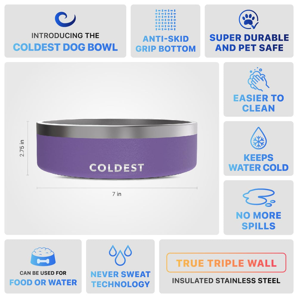 The Coldest Water gamelle utilisée par un chien pour confort et propreté
