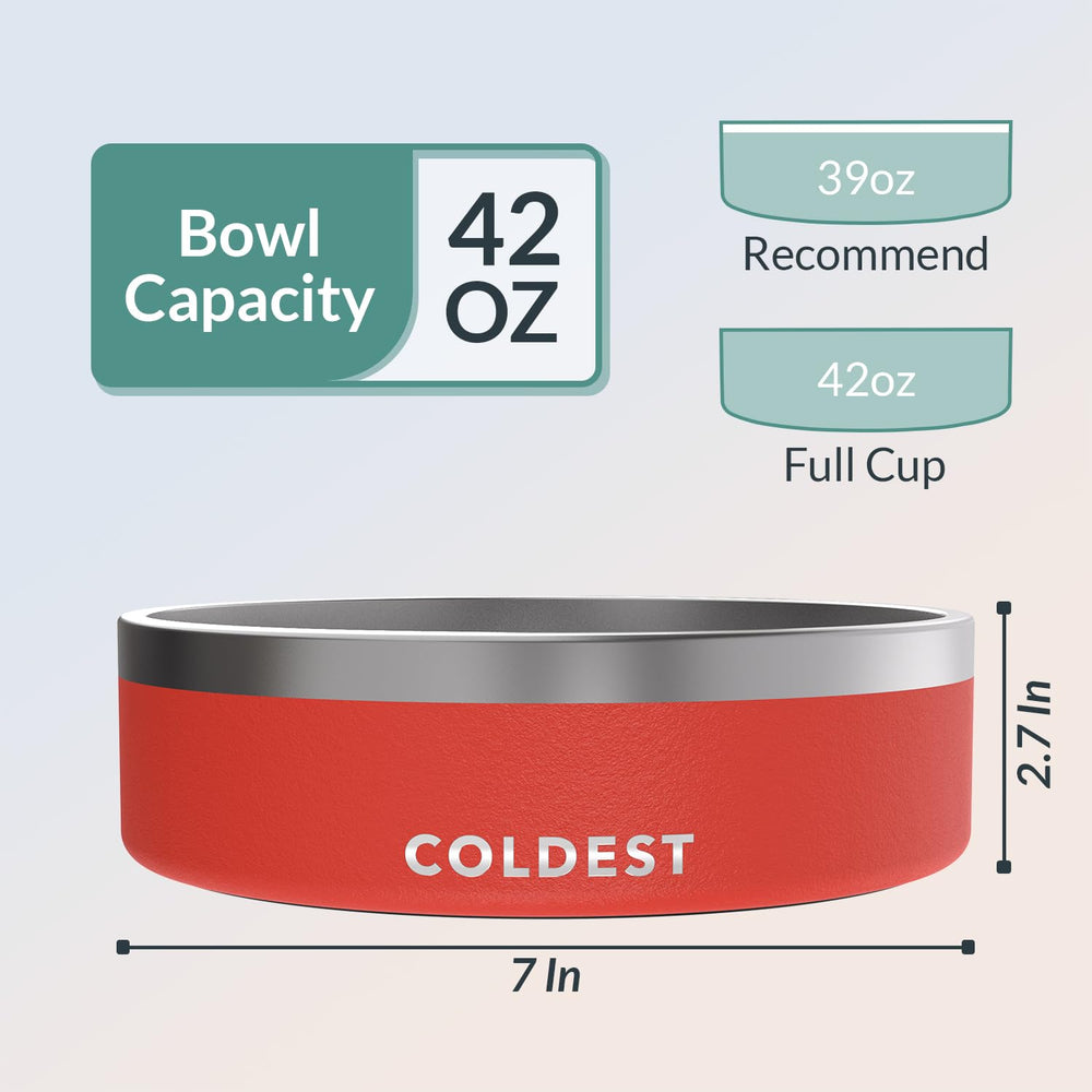 The Coldest Water chien buvant montrant confort et utilisation sûre