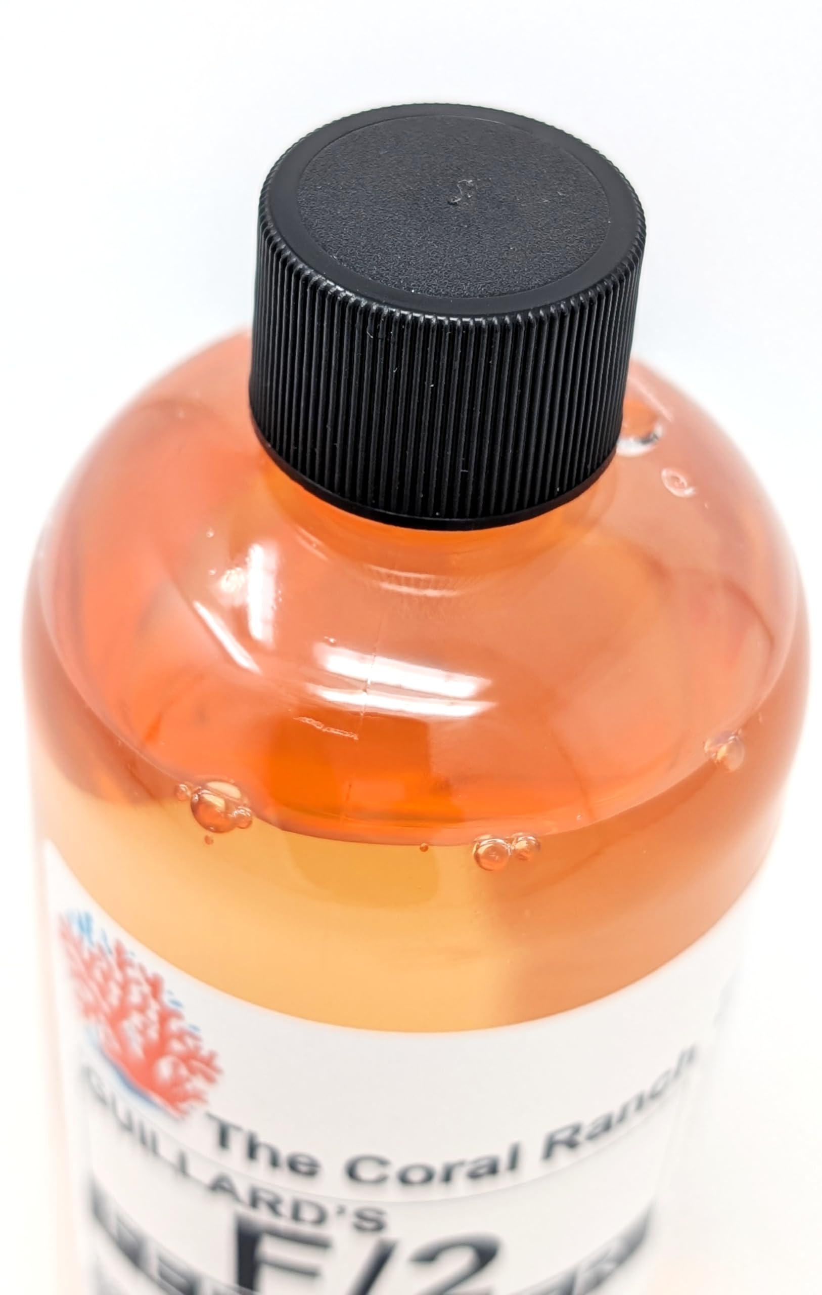 The Coral Ranch bocal de culture montrant phytoplancton en croissance utile