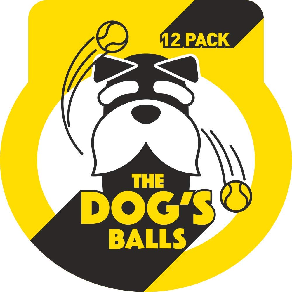 The Dog's Balls boîte ouverte montrant 12 balles, stock pratique pour jeux