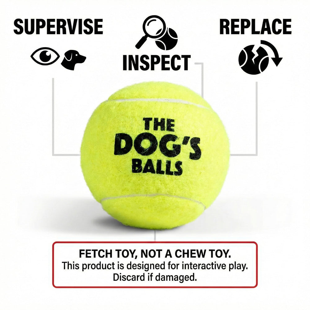 The Dog's Balls posé sur le sable de plage, bonne visibilité et flottabilité