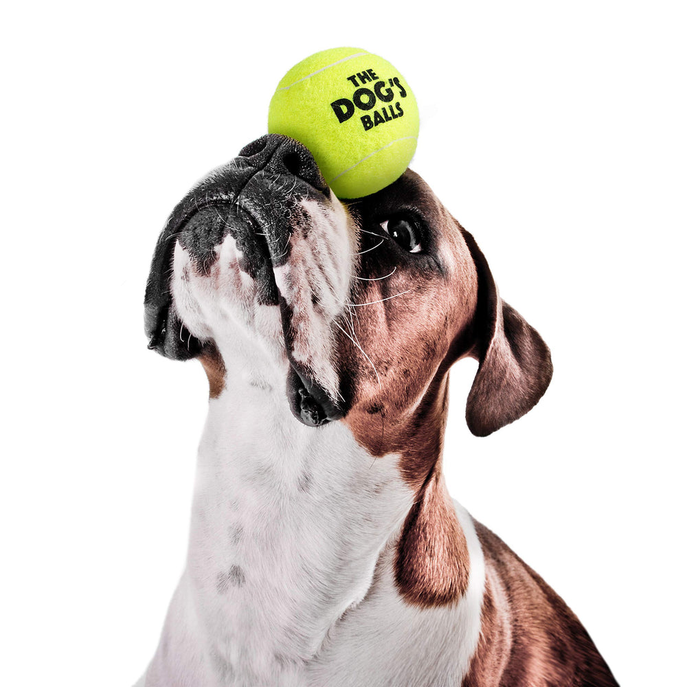 The Dog's Balls détail du feutre et coutures, finition durable et sûre