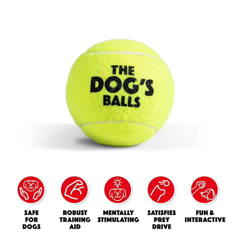 The Dog's Balls comparaison taille, montre échelle et compatibilité lanceur