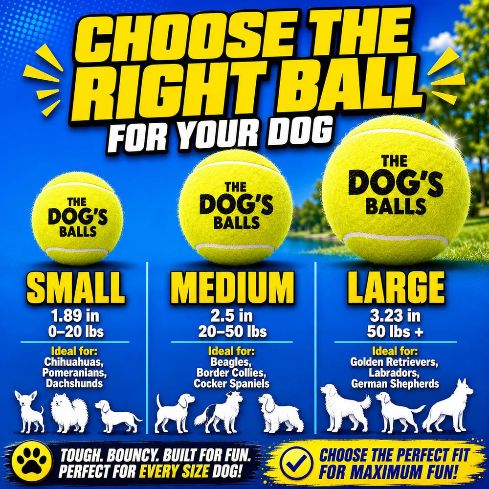 The Dog's Balls gros plan sur le feutre doux, protège dents et gencives