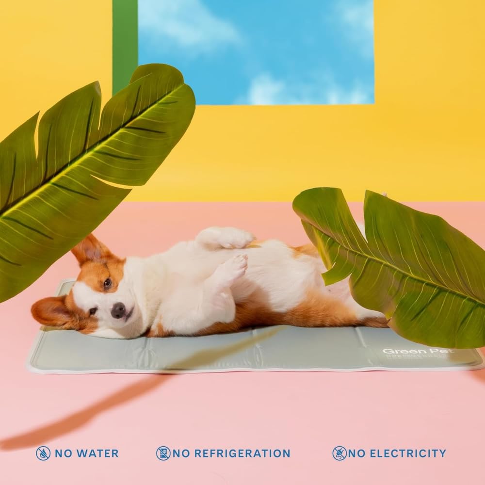 The Green Pet Shop tapis placé dans une caisse confort et compatibilité