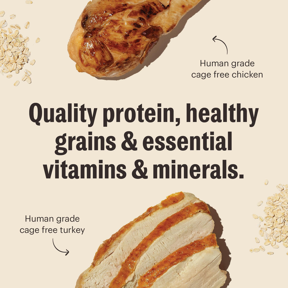 The Honest Kitchen clusters en main illustrant portion facile et maniabilité