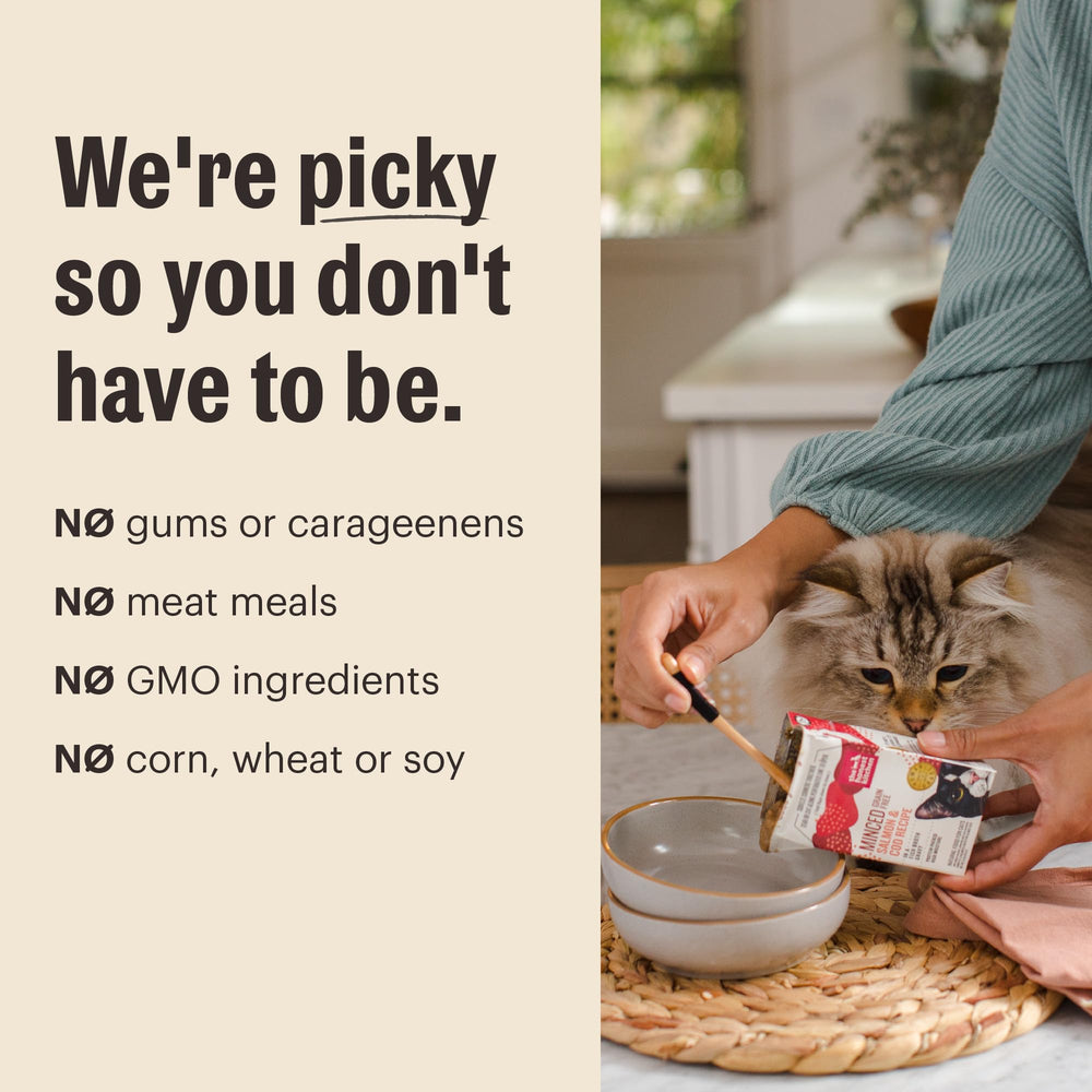 The Honest Kitchen emballage ouvert affichant ingrédients reconnaissables