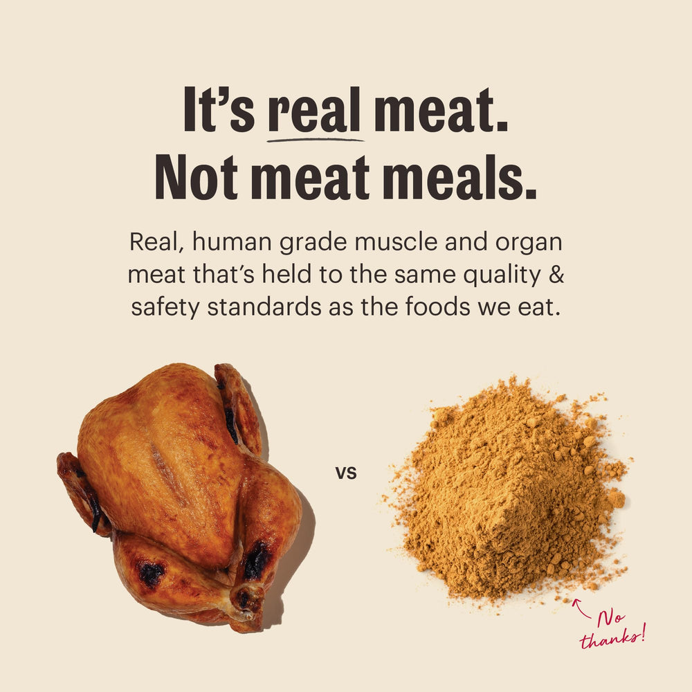The Honest Kitchen ingrédients poulet et foie en gros plan pour proteiné de qualité