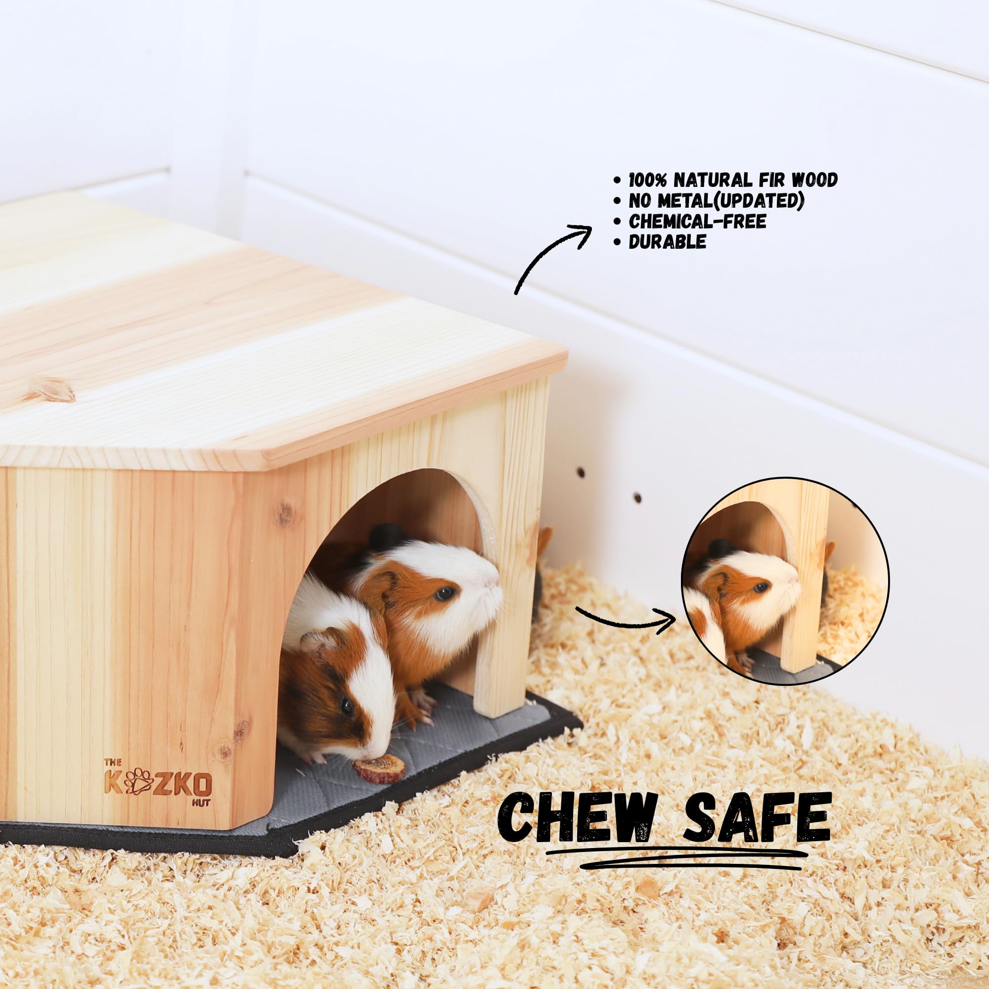 THE KOZKO HUT cochon d'Inde confortablement installé dans la cachette en bois