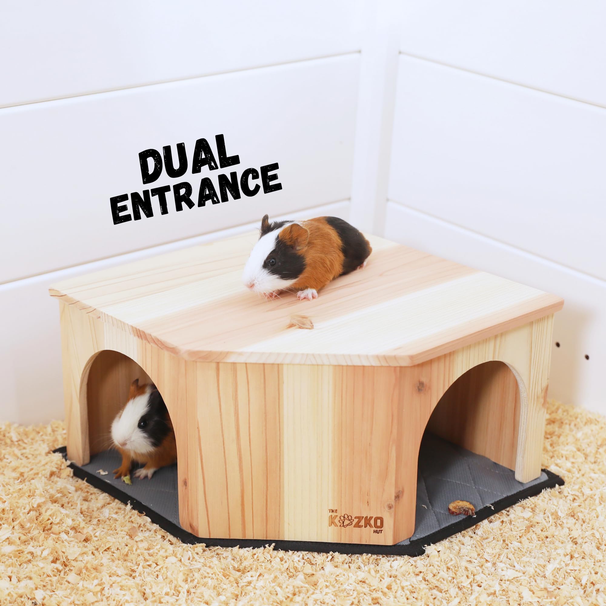 THE KOZKO HUT comparaison d'échelle montrant dimensions adaptées aux cages