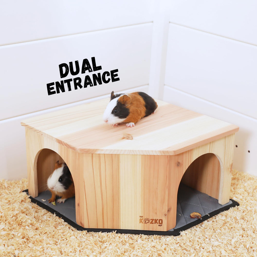 THE KOZKO HUT comparaison d'échelle montrant dimensions adaptées aux cages