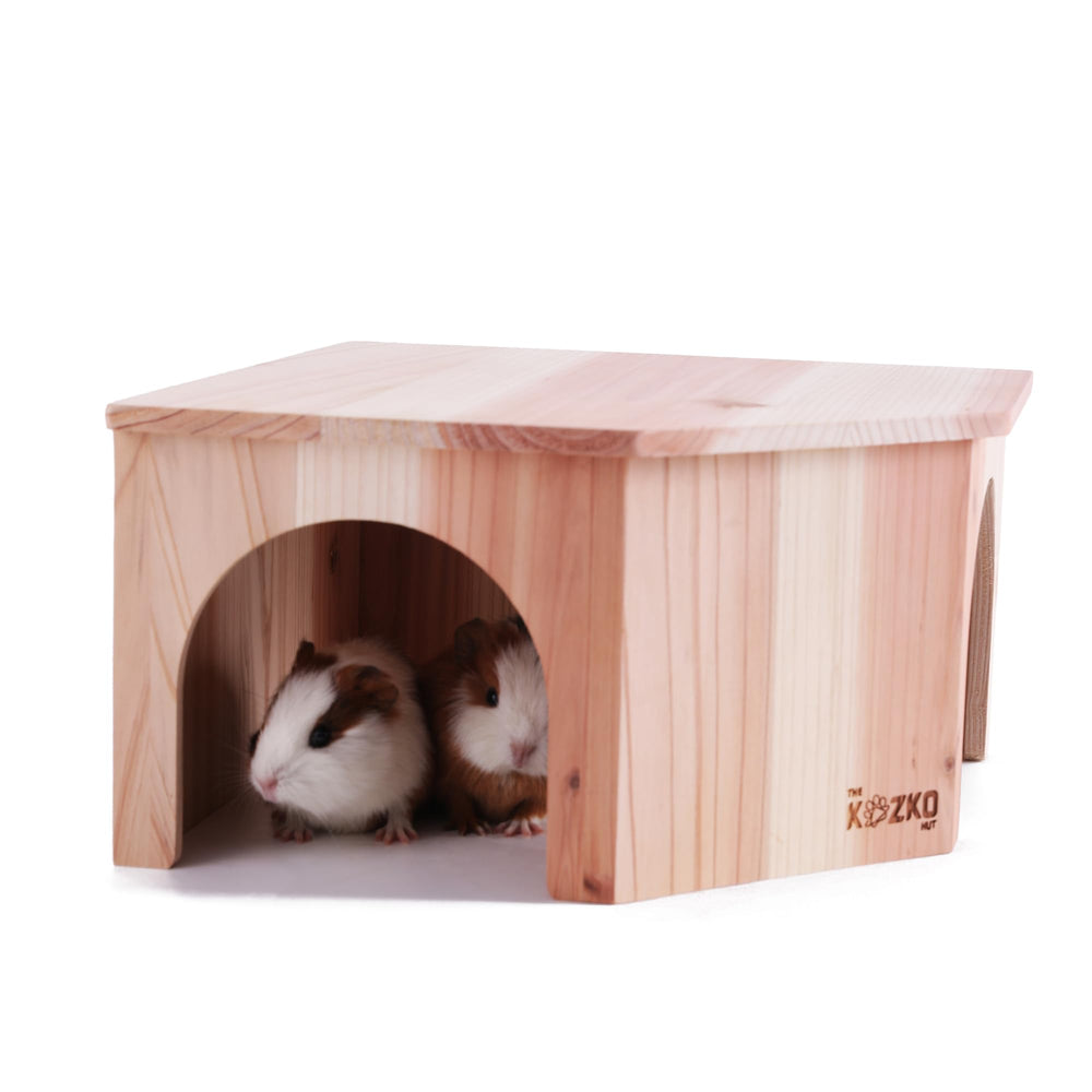 THE KOZKO HUT scène de cage équipée montrant intégration harmonieuse