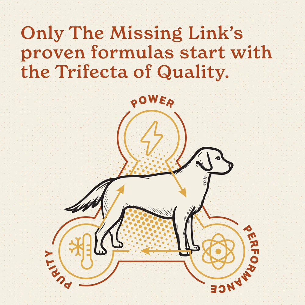 Chat consommant repas avec The Missing Link démontrant la compatibilité féline